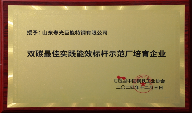 雙碳最佳實(shí)踐能效標(biāo)桿示范廠培育企業(yè)